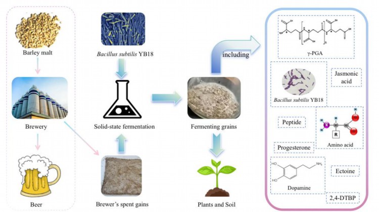 我校生物工程学院刘军教授团队在国际权威期刊《Bioresource Technology》上发表研究论文1.jpg